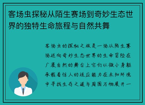 客场虫探秘从陌生赛场到奇妙生态世界的独特生命旅程与自然共舞